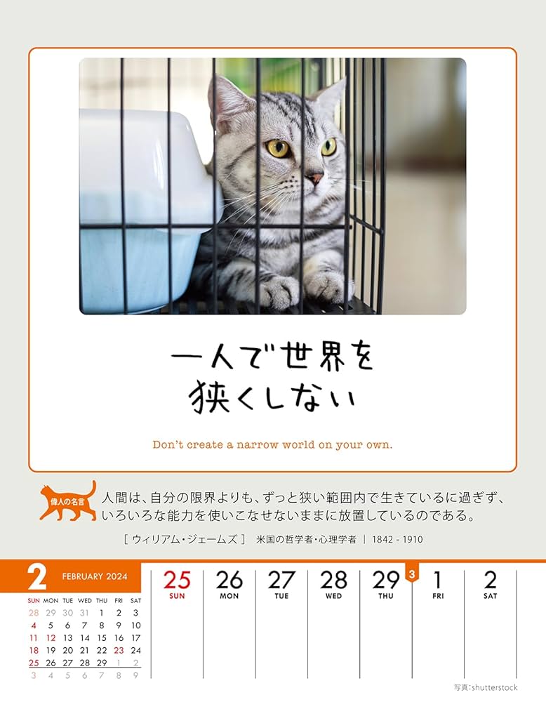 猫が邪魔で何も見えないカレンダー Amazon.co.jp: トライエックス(TRY-X) 2024年 トライエックス
